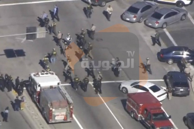 هجوم دام بكاليفورنيا