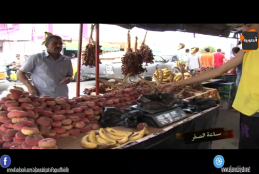 ساعة الصفر : لحم فاسد من أستراليا …و الغشة سيدة الموقف…؟!!