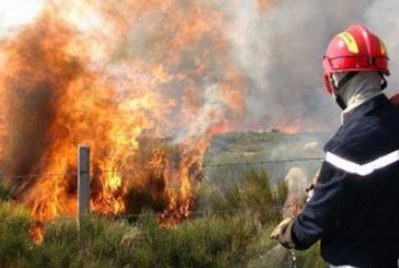 الهوارية : اندلاع حريق في غابة دار شيشو