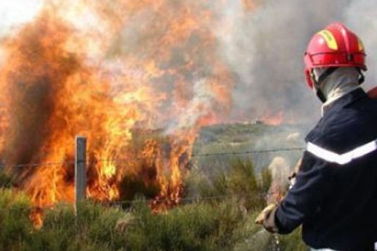 الهوارية : اندلاع حريق في غابة دار شيشو