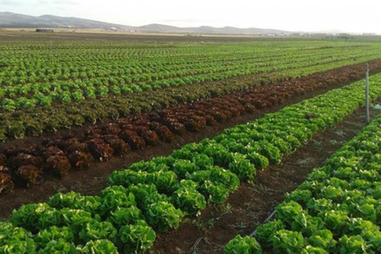 سليانة : استرجاع 3 ضيعات دولية بالقوة العامة