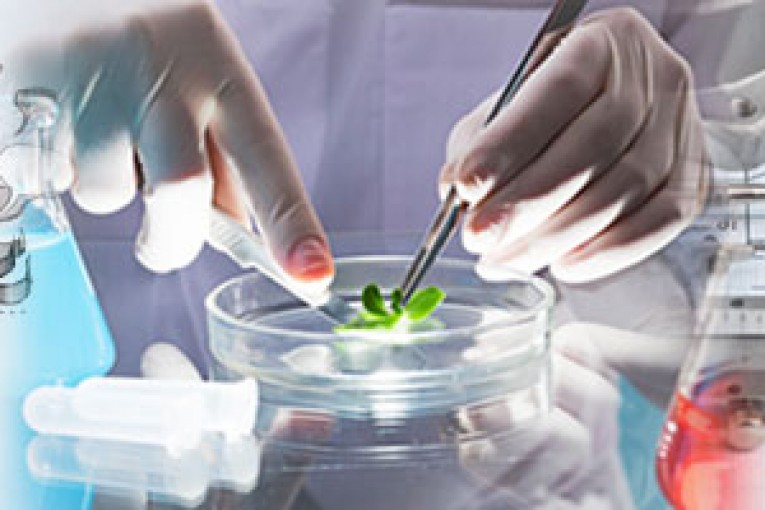 تونس الاولى افريقيّا و53 عالميا في مجال البحث العلمي