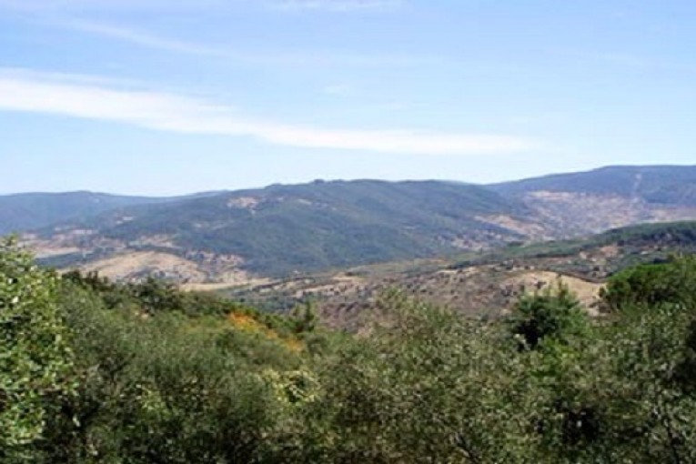 جندوبة : مجموعة إرهابية تهاجم محطة الإرسال الاذاعي وتختطف الحارس