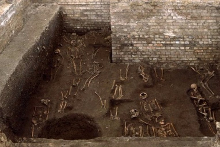 فرنسا: العثور على مقبرة قديمة تحتوي على 300 هيكل عظمي تحت مركز للشرطة
