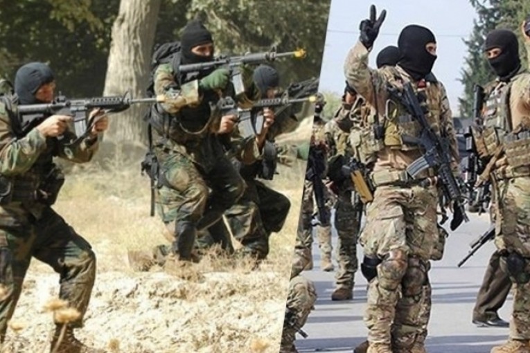 التقرير السنوي لمؤشّر الإرهاب : تونس أفضل من فرنسا وبريطانيا