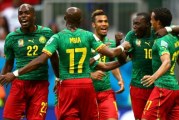 الكاميرون تقاتل وتعود لتهزم غينيا بيساو