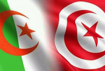 كان 2017: تونس تسعى لفوز مصيري في دربي مغاربي لا يقبل القسمة على اثنين