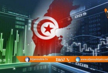18 بالمائة نموا الاستثمار الأجنبي المباشر بتونس