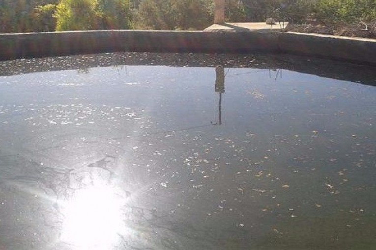 القصرين: فظيع.. العثور على جثث ثلاثة أطفال إخوة مقتولين في ”جابية ماء” والقبض على الأب