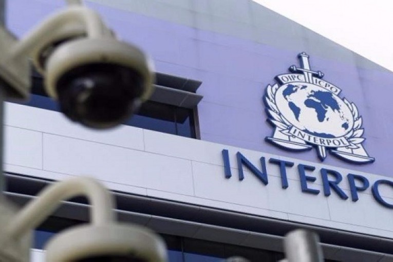 الإنتربول: 173 داعشيا تلقوا تدريبات لتنفيذ هجمات بأوروبا