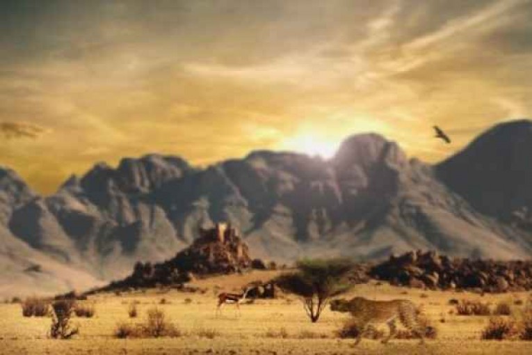 دراسة مخيفة: موجة الانقراض السادسة بدأت على الأرض