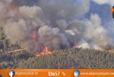 نابل: حريق هائل بجبل سيدي عبد الرحمان في منزل بوزلفة