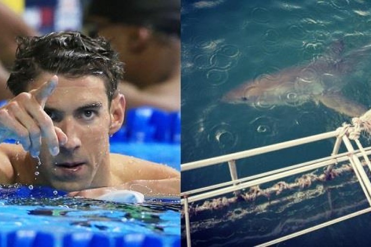 مايكل فيلبس يخسر سباقه أمام القرش الأبيض ( فيديو )