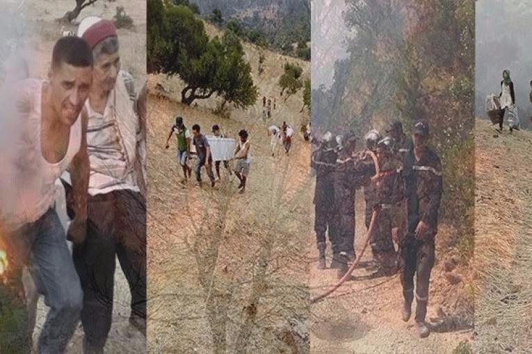 بسبب الحرائق.. الجزائر تجلي حوالي 120 عائلة على الحدود التونسية