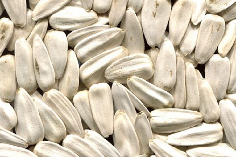 وزير الفلاحة : لا “قلوب بيضاء” تركية في تونس مستقبلا