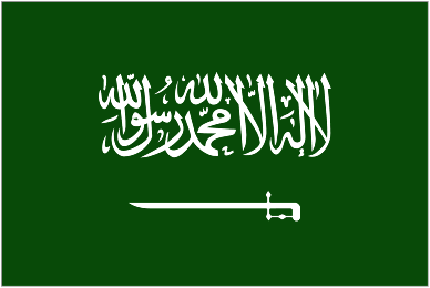 السعودية : احتجاز عشرات الأمراء والوزراء السابقين