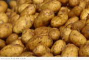 التسعيرة القانونية لكيلو غرام البطاطا 1180 مليما و تباع للمواطن ب2200 مليم