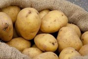 نابل: حجز 170 طنا من البطاطا قيمتها 160 ألف دينار