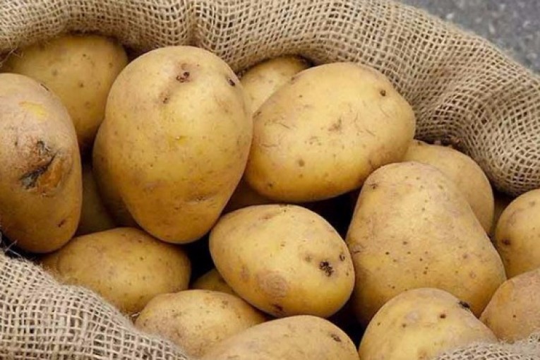 نابل: حجز 170 طنا من البطاطا قيمتها 160 ألف دينار