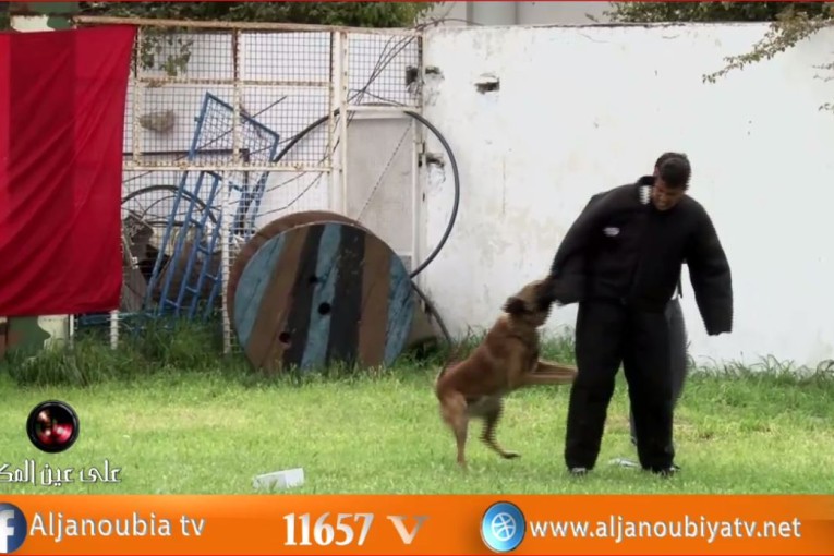 على عين المكان..الذكرى 62 لعيد قوات الأمن الداخلي ” تضحية وفداء للوطن “