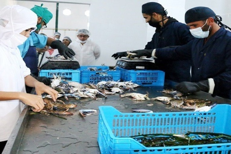 ارتفاع صادرات سرطان البحر خلال السداسي الاول من 2018