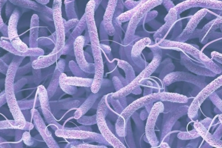 بعد ظهور وباء الكوليرا في الجزائر: مدير حفظ الصحة يوضّح