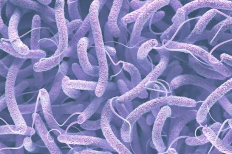 وزارة الصحة تضع برنامجا خاصا للوقاية من الكوليرا