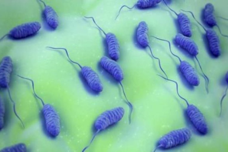 قابس: إجراءات عديدة للتوقي من وباء ” الكوليرا ” والوضع الصحي في الجهة يعدّ مطمئنا