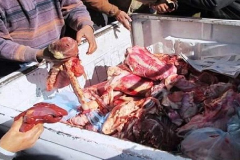 زغوان: حجز 240 كلغ من لحم بقري مُصاب بداء السل