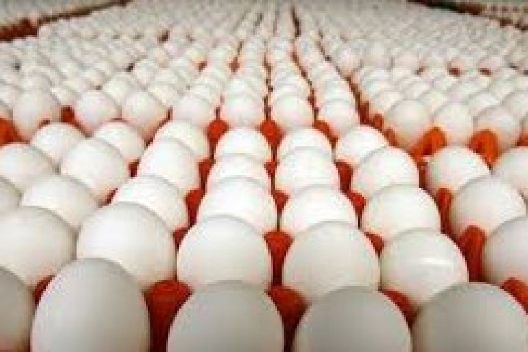 وزارة التجارة : تسعير بيع البيض 840 مليم لـ 4 بيضات