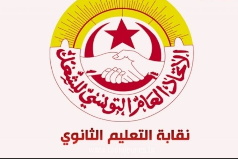 نقابة التعليم الثانوي تعلن عن ‘يوم غضب’ ومسيرة بشارع الحبيب بورقيبة