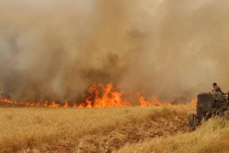 سليانة: حريق ياتي على 15 هكتارا من صابة الحبوب