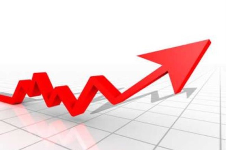 التخفيض من قيمة الدينار أدى إلى مضاعفة قيمة الدين العمومي