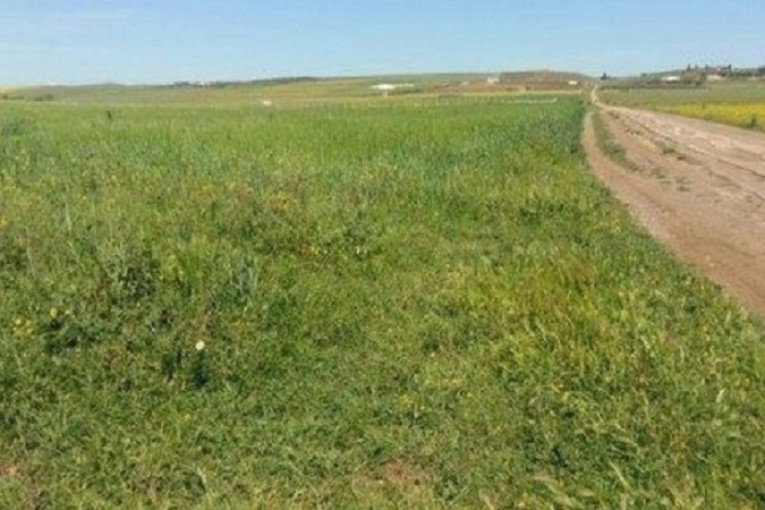 الدولة تسترجع 4 هك من أراضيها المستولى عليها في منوبة