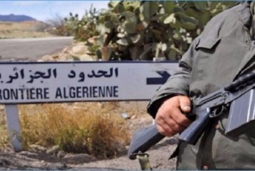 ضبط 6 أشخاص من بينهم 5 أفارقة بصدد اجتياز الحدود الجزائرية التونسية خلسة