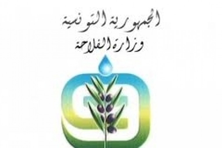 وزارة الفلاحة:كميات القفالة الحية المعروضة حاليا تمثل خطرا على صحة المستهلك