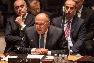 مصر: الحل السياسي في ليبيا لن يتحقق دون وقف التدخلات