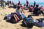 احباط  عملية هجرة غير شرعية من سواحل رواد