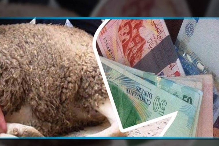 صرف منح عيد الأضحى على جميع العائلات المعوزة بعد الترفيع من قيمتها لتبلغ 60 دينارا