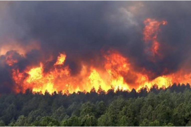 الكاف: اندلاع حريق هائل بجبل ‘الطوال’ بساقية سيدي يوسف