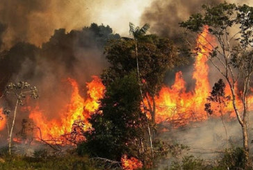 السيطرة على حريق جبل الناظور بغار الملح