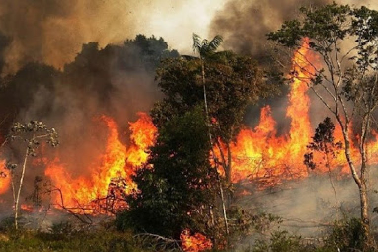 السيطرة على حريق جبل الناظور بغار الملح
