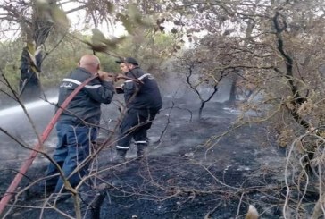 سليانة: السيطرة على حريق نشب صباح اليوم بجبل “بوكحيل”