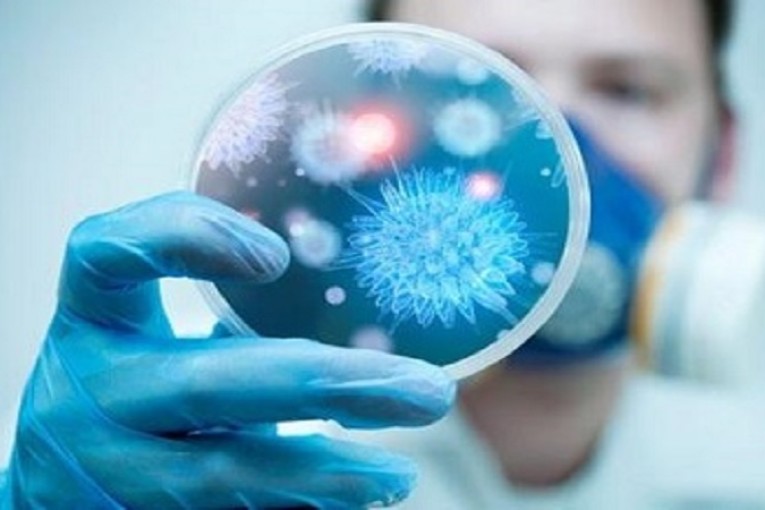 سليمان: إصابة 16 شخصا حضروا حفل زفاف ليرتفع عدد الإصابات بكورونا الى 38