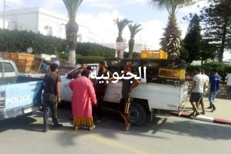 قرمبالية .. باعة الدجاج الحيّ ينفذون وقفة احتجاجية