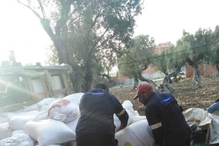 حجز 22 طنا من السكر الخام المورّد تمت سرقته من ميناء بنزرت التجاري