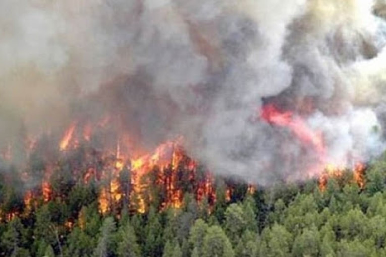 القصرين: سلسلة من الحرائق تتلف حوالي 70 هكتارا من المساحات الغابية المحيطة بحقل الدولاب