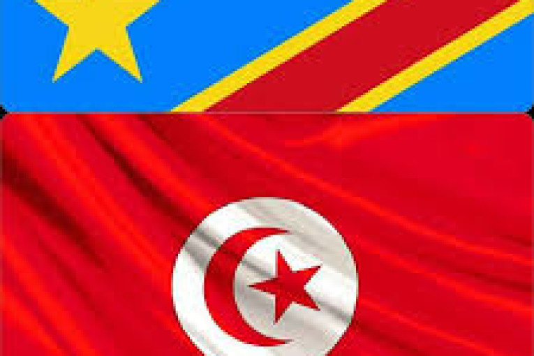 وزير الخارجية يؤدي زيارة عمل إلى جمهورية الكونغو الديمقراطية من 22 إلى 24 مارس الجاري