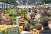 المرصد الوطني للفلاحة:سوق الجملة تسجل تراجعا لمعدل أسعار الغلال وسط ارتفاع بعض الخضر والاسماك