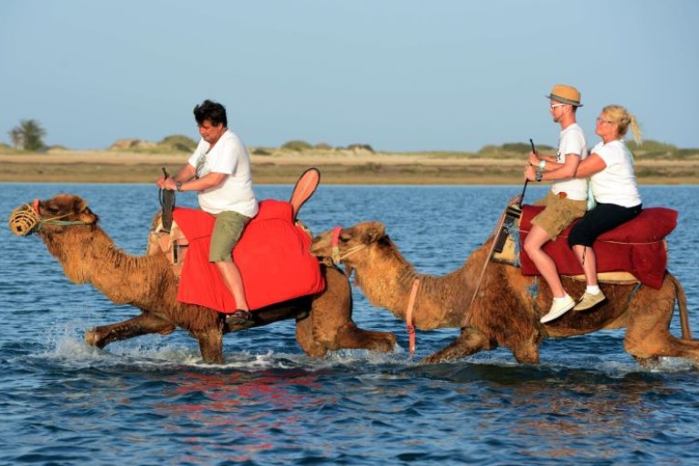 تراجع العائدات السياحيّة بنسبة 52 بالمائة إلى تاريخ 10 ماي 2021